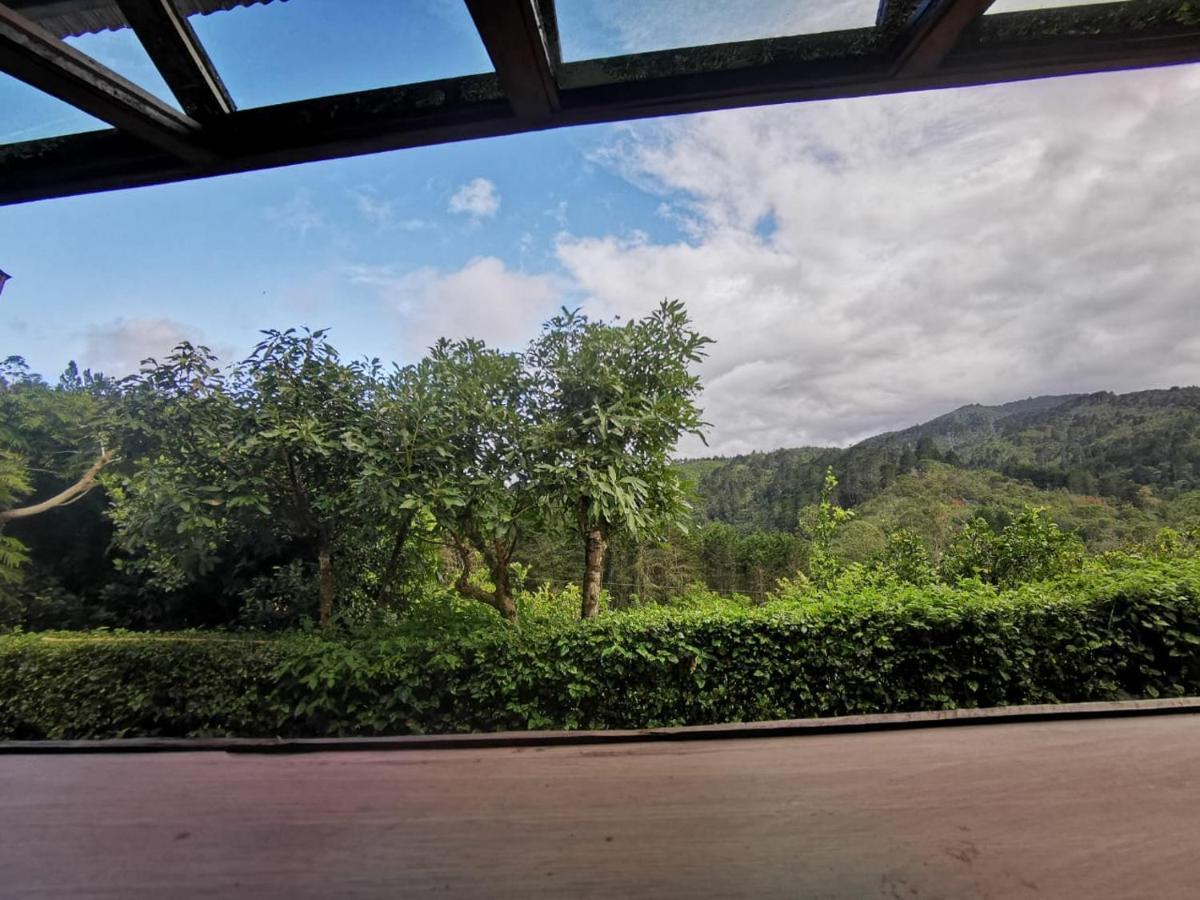 Cabana Hamacas Cartago Bagian luar foto